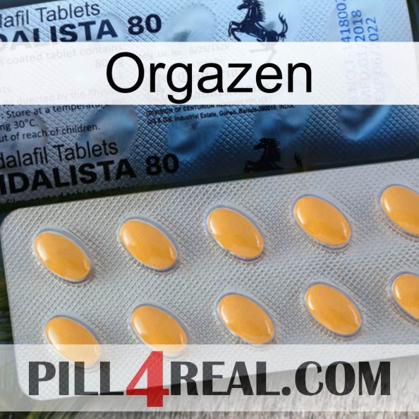 Orgazen 44.jpg